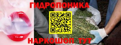 дживик Донской